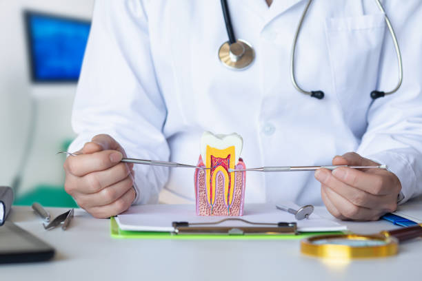 Best Orthodontic Emergency Dentist in Oakley, CA